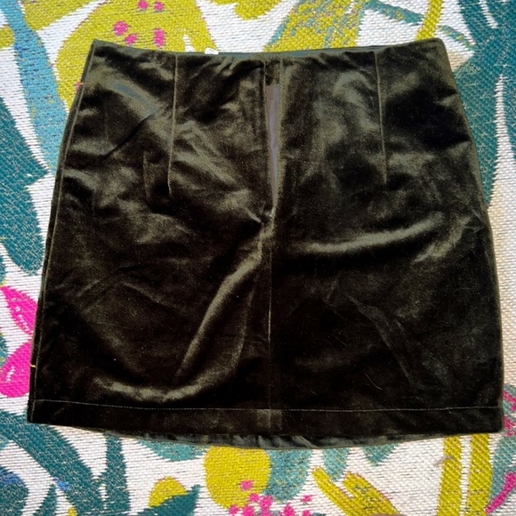 Velvet Embroidered Skirt - Picture 3 of 3